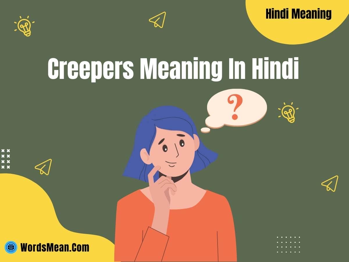 Creepers Meaning In Hindi